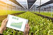 Comptabilité agricole avancée avec outils informatiques